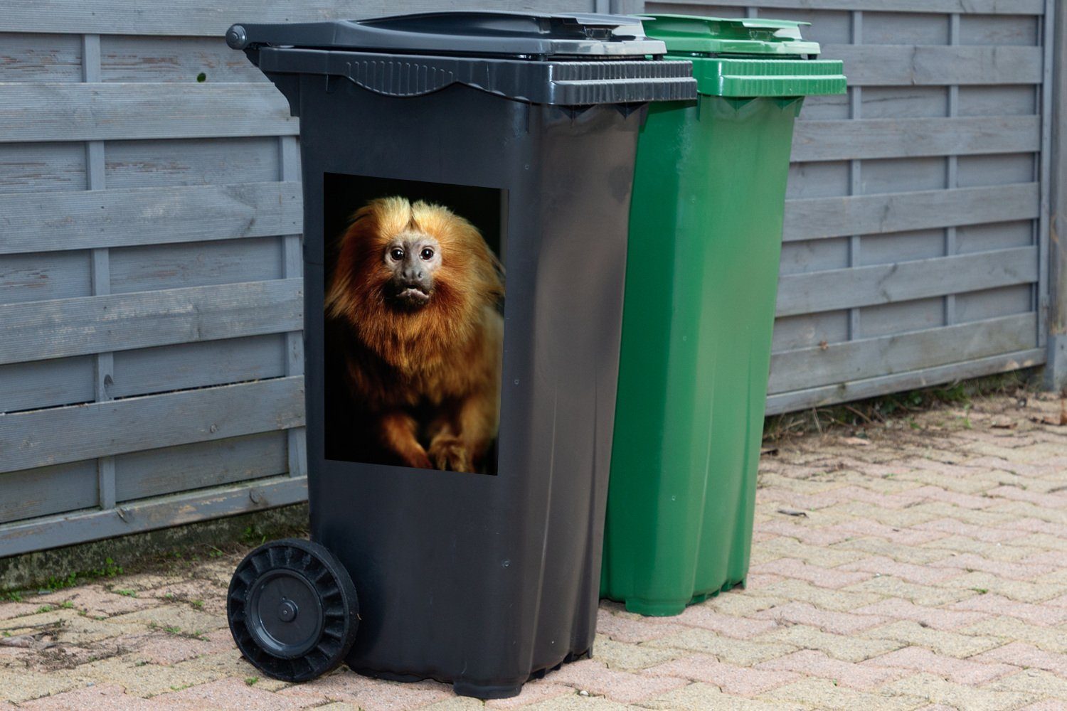MuchoWow Wandsticker Ein goldenes Container, Mülltonne, auf St), Hintergrund Löwenmäulchen die Sticker, schwarzem Abfalbehälter schaut (1 Mülleimer-aufkleber, in