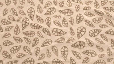 Zeltteppiche Fleece Carpet Klondike S, ROBENS