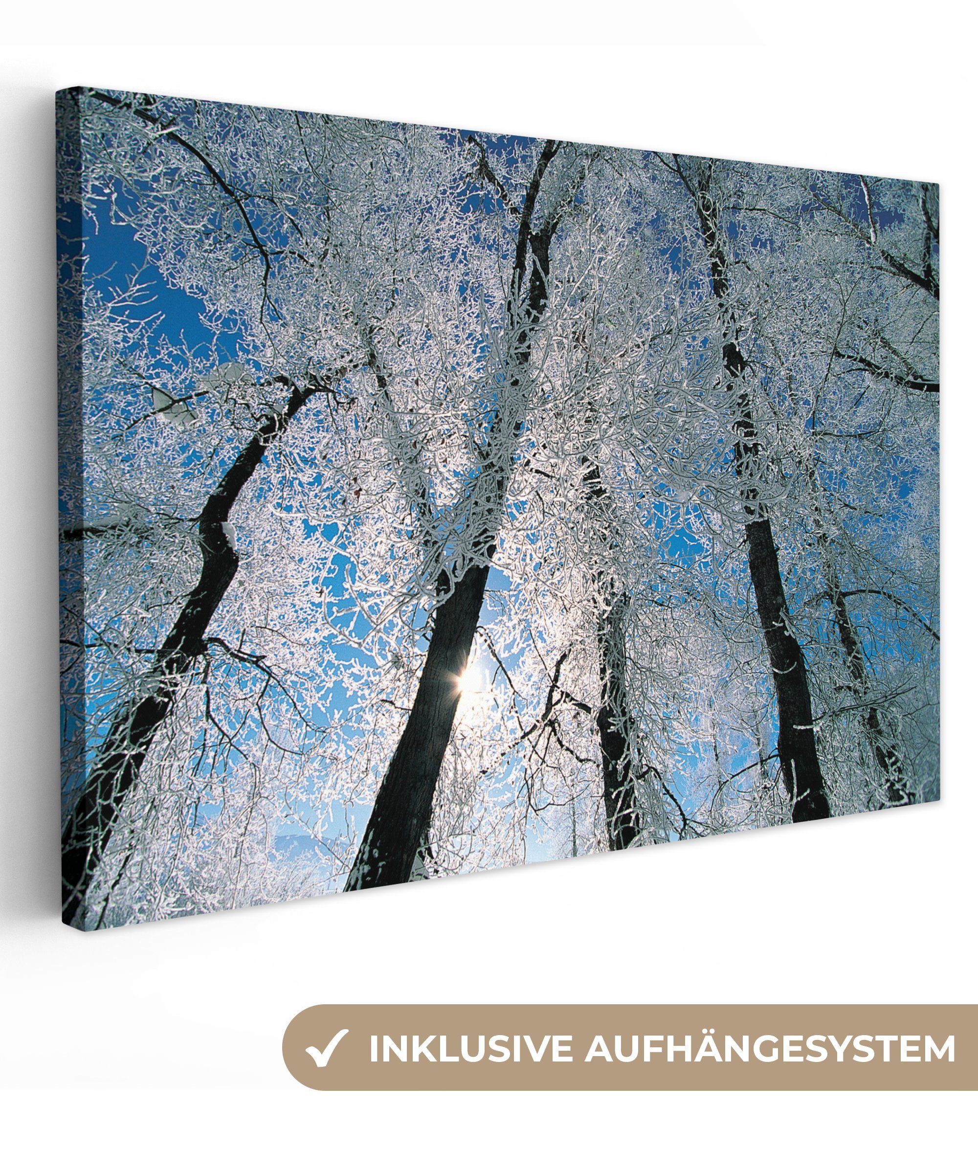 OneMillionCanvasses® Leinwandbild Aufhängefertig, Bäume, Leinwandbilder, 30x20 cm Wanddeko, St), Wandbild Frost (1 Von bedeckte