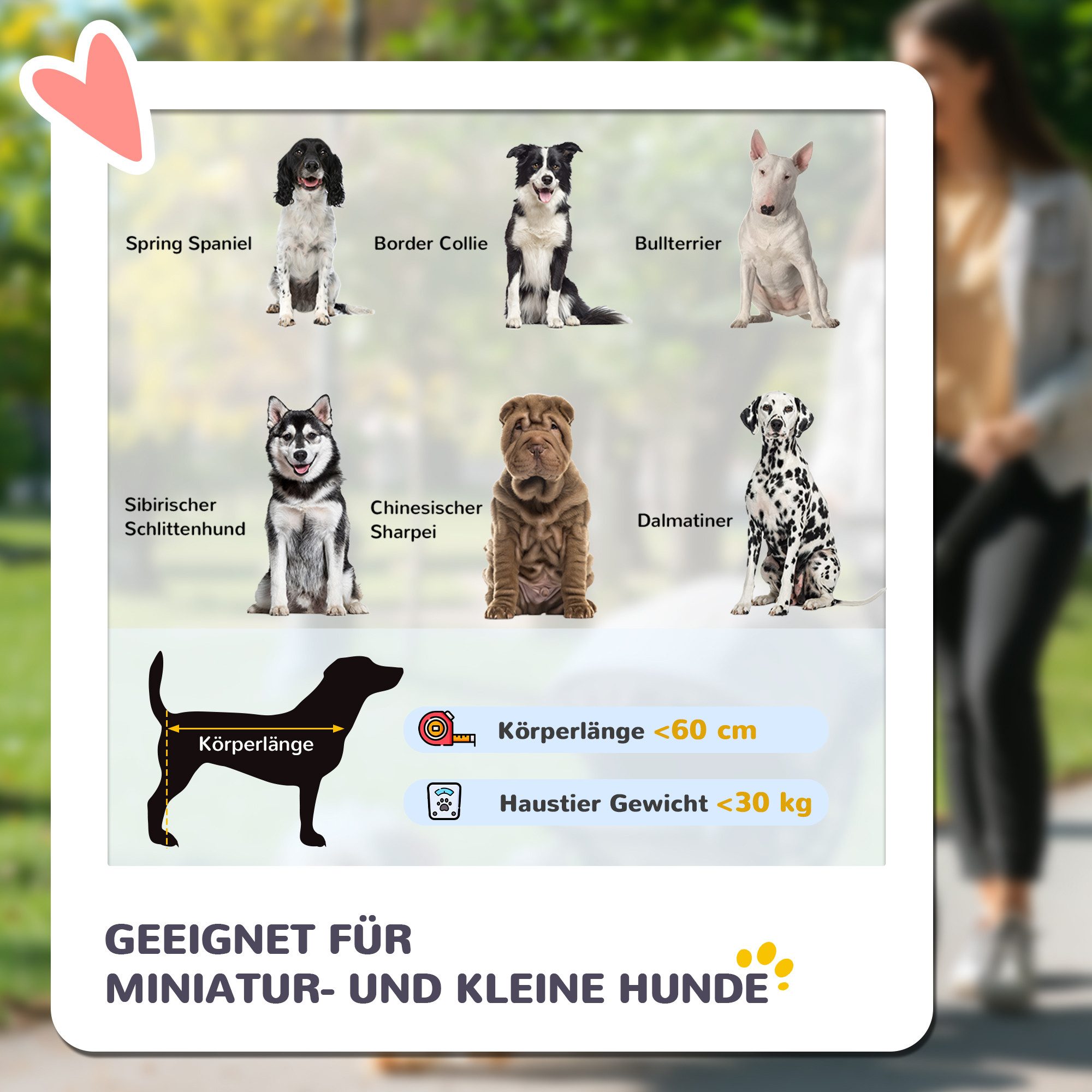 MC Star Hundebuggy Hundewagen Faltbarer bis 30 kg, mit Netzfenster, Sicherh günstig online kaufen