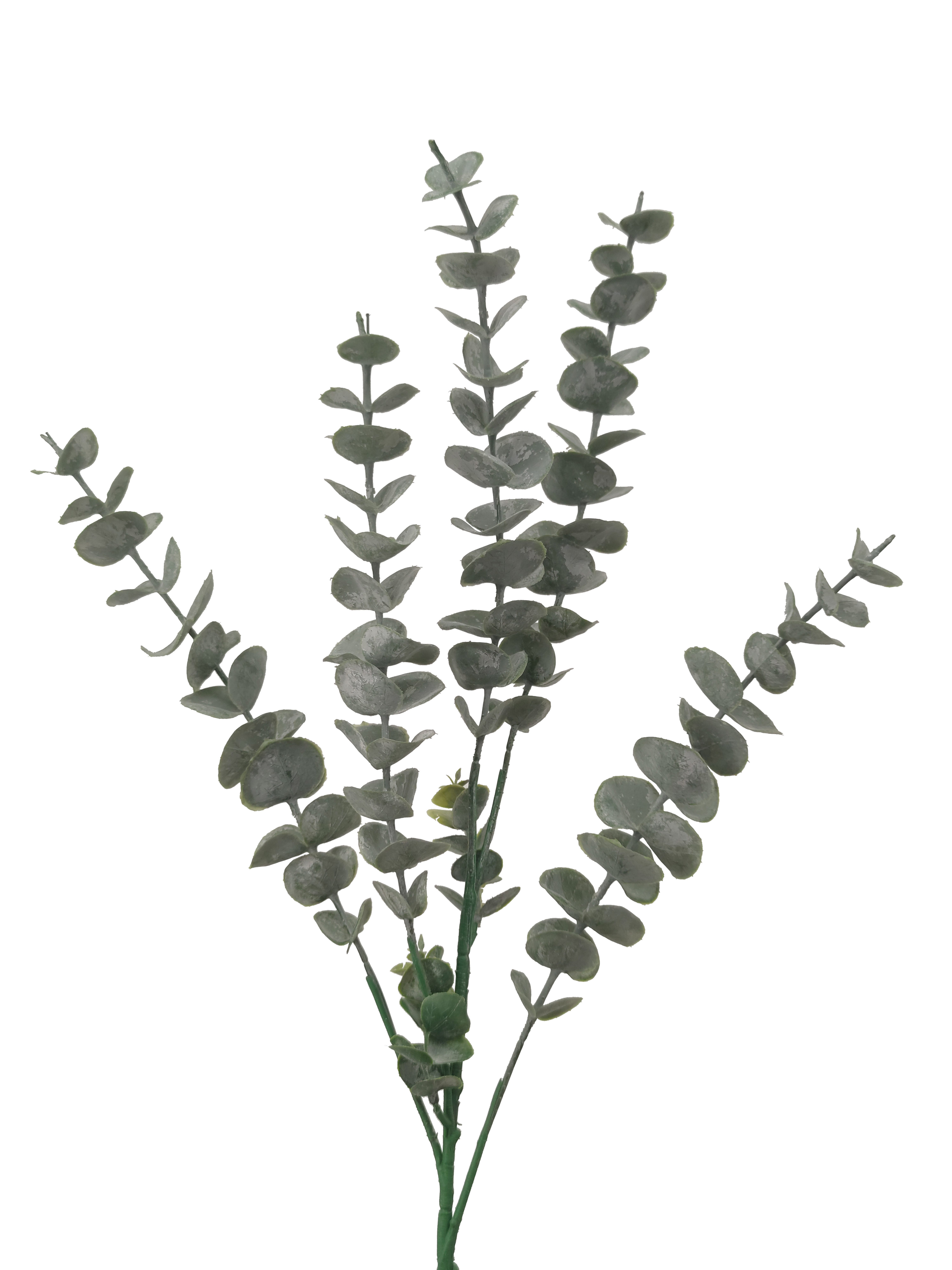 Kunstzweig Eukalyptuszweig, 2474U, Höhe 80 cm günstig online kaufen