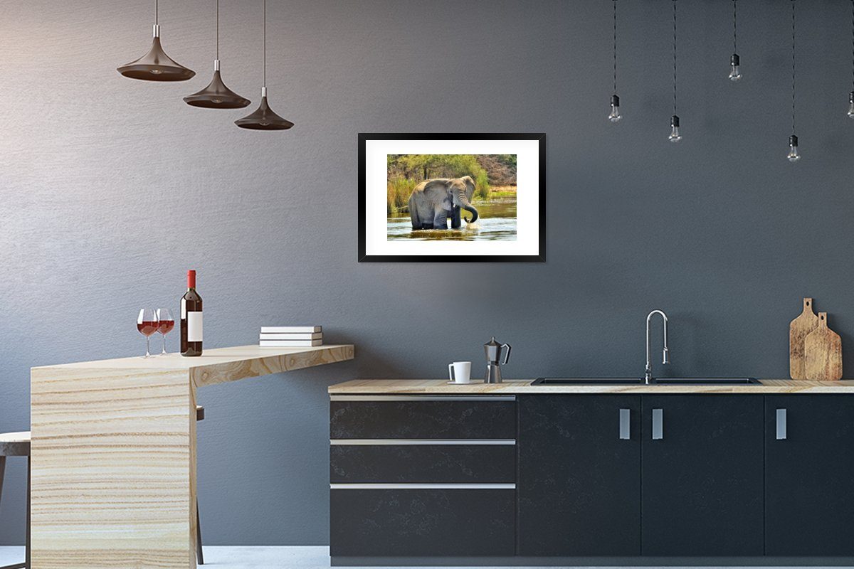 - Rahmen, mit - Bilderrahmen Natur, Poster, Poster (1 Elefant Gerahmtes Kunstdruck, Schwarzem - Tiere MuchoWow St), Wasser
