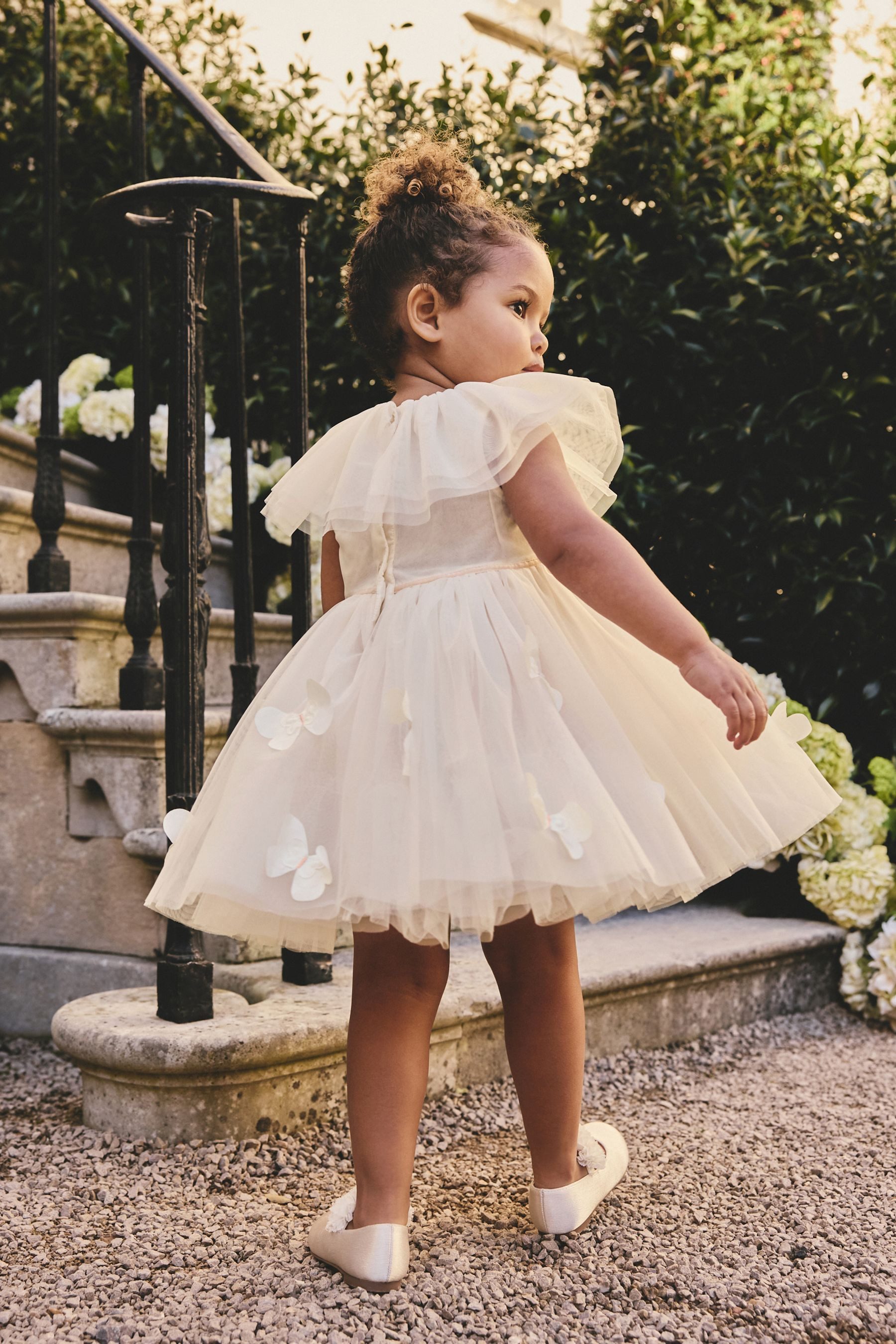 Next Tüllkleid Mesh-Kleid mit Rüschenkragen (1-tlg)