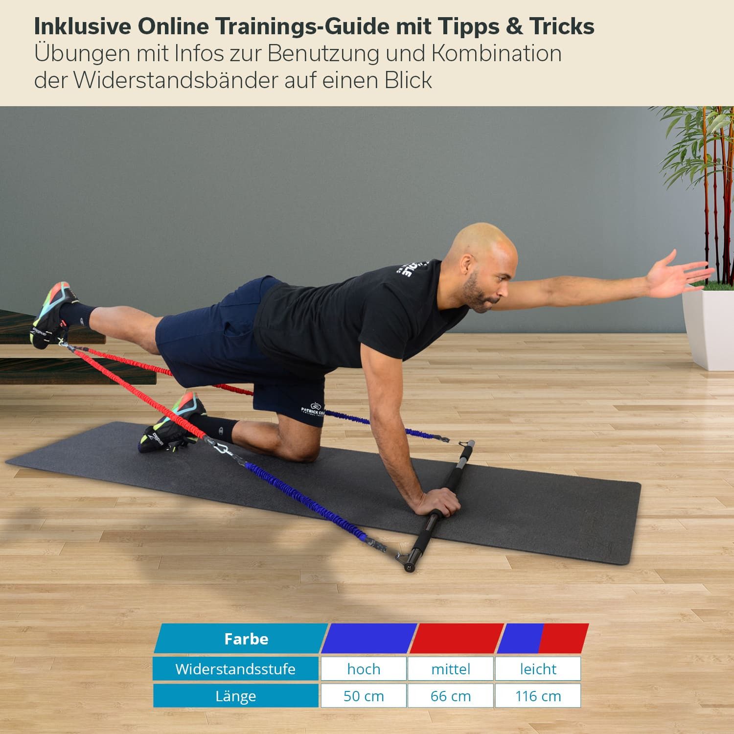 Skandika Trainingsbänder Multi-Widerstandsbänder mit Stange, Pilates Bar mit Resistance Bands, Krafttraining, 3 Widerstandsstufen, Online Trainingsguide,viel Zubehör
