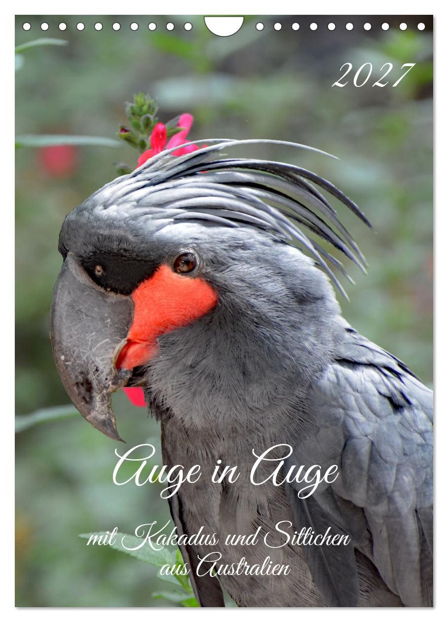 CALVENDO Wandkalender Auge in Auge mit Kakadus und Sittichen aus Australien (Wandkalender 20