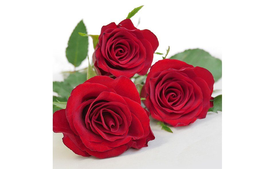 Braun+Company Atelier Papierserviette Braun & Company Servietten Motiv Red Diva 33 x 33