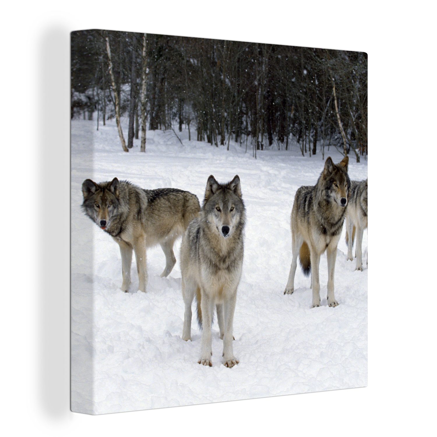 OneMillionCanvasses® Leinwandbild Wolf - Schnee - Kanada, (1 St), Leinwand Bilder für Wohnzimmer Schlafzimmer