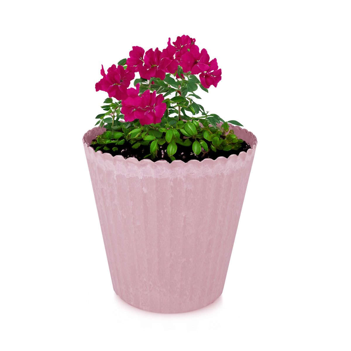 matches21 HOME & HOBBY Blumentopf Blumen-Topf alt-rosa geriffelt als Outdoor Pflanzen-Topf rund 13 cm (1 St), Pflanztopf als Wohnzimmer Übertopf und draussen Pflanzgefäß