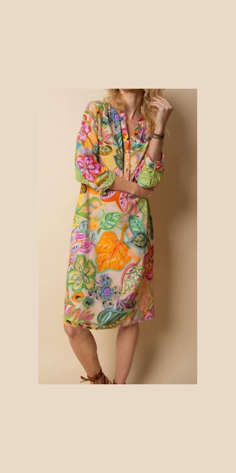 Emily Van Den Bergh Blusenkleid Kleid EMILY VAN DEN BERGH multi flowers