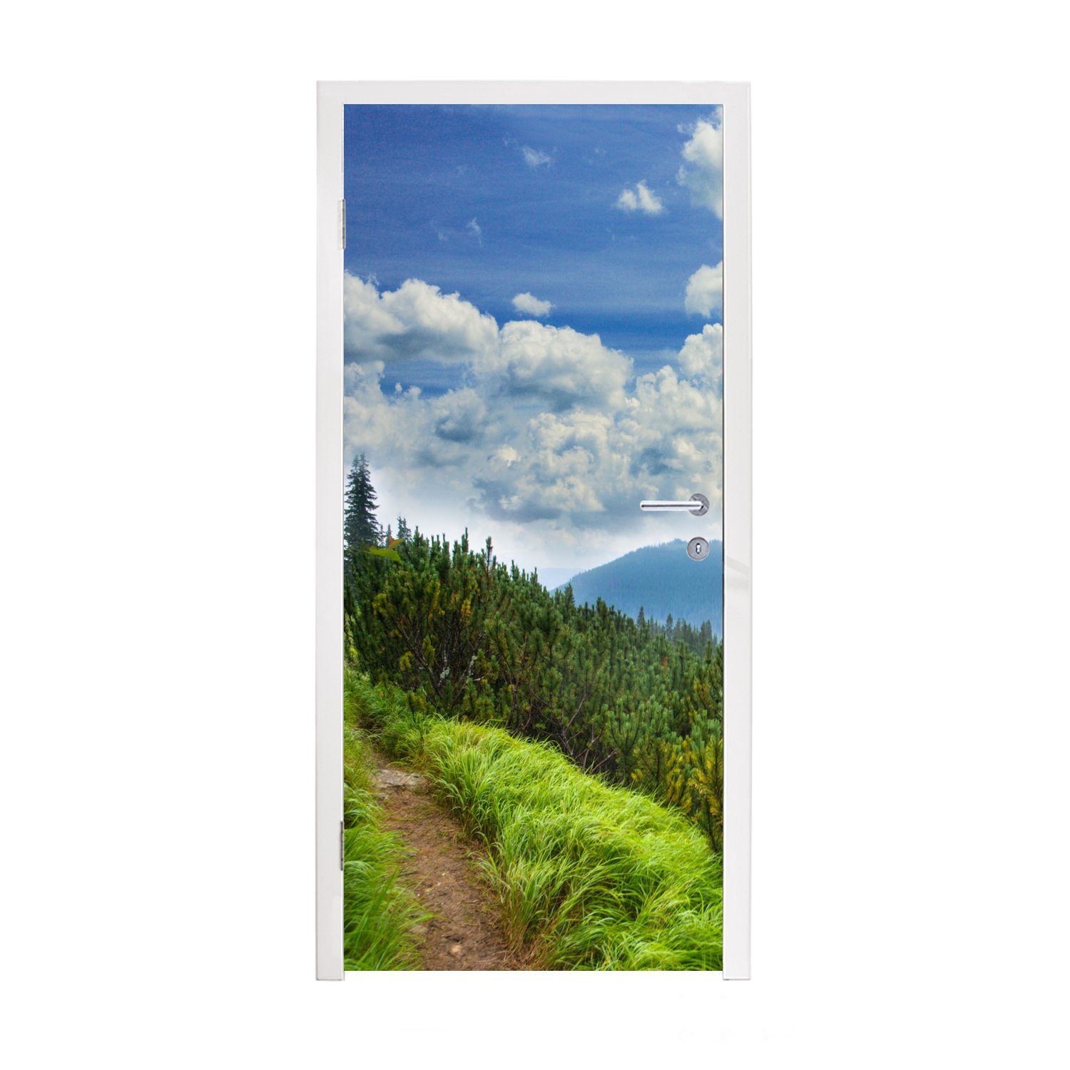 MuchoWow Türtapete Wald - Pfad - Berg, Matt, bedruckt, (1 St), Fototapete für Tür, Türaufkleber, 75x205 cm