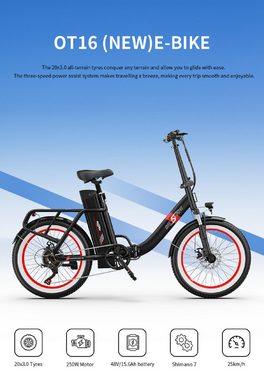 DOTMALL E-Bike E-Bike 20Zoll foldable 250W 48v15.6AH Faltbares Mountain/City bike