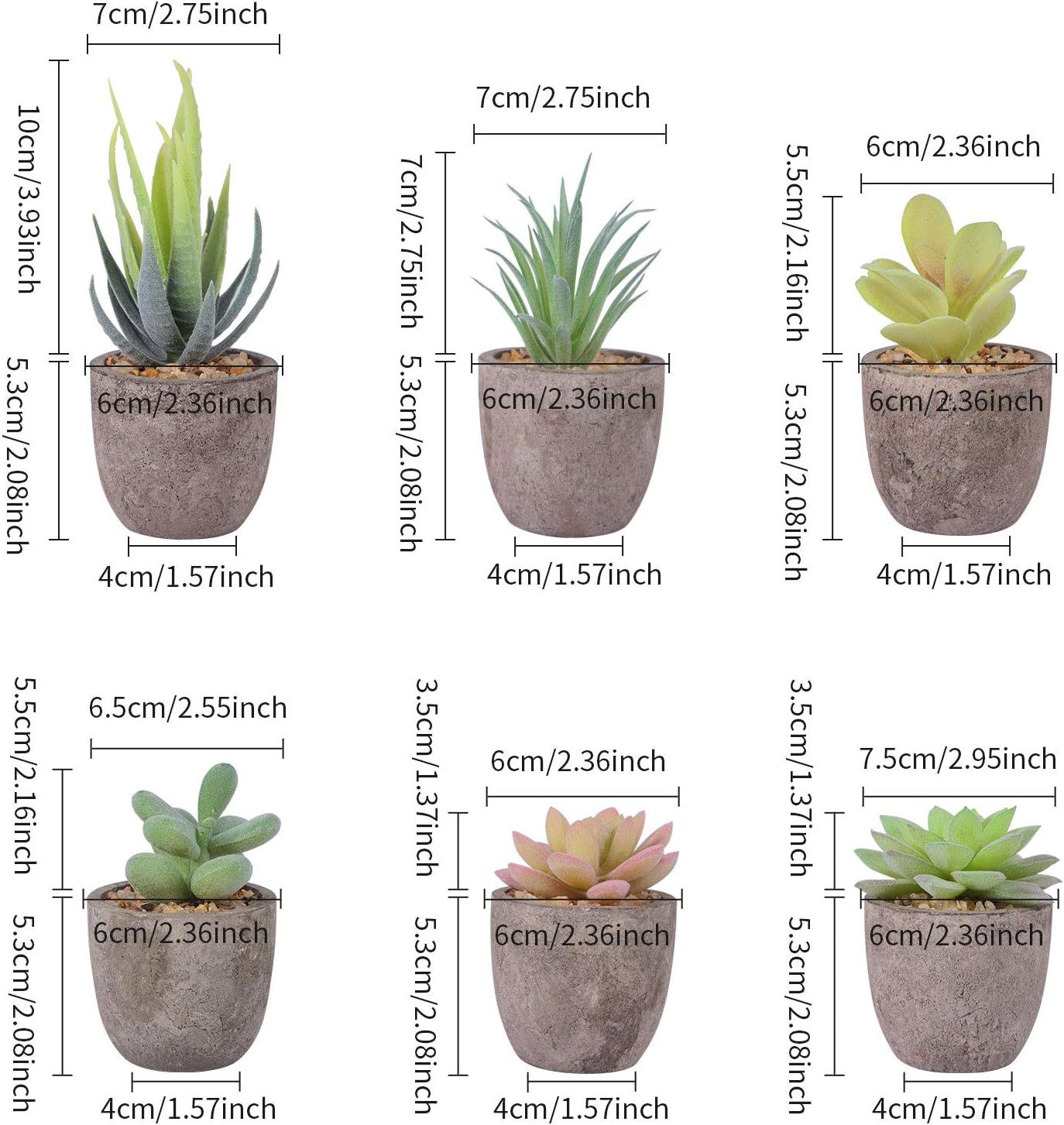 Kunstpflanze Kunstpflanze Deko Pflanzen Künstliche Sukkulenten Pflanze, Sin günstig online kaufen