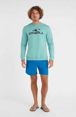 O'Neill Badeshorts Oneill M Vert 16'' Swim Shorts Herren Badeshorts