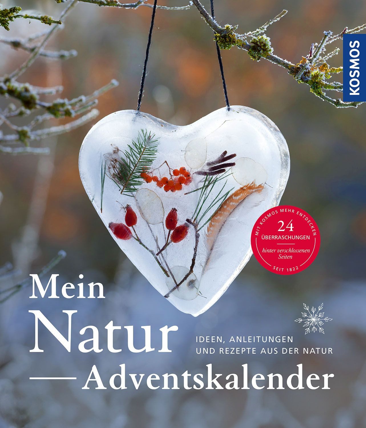 Natur-Adventskalender / Anne Rogge