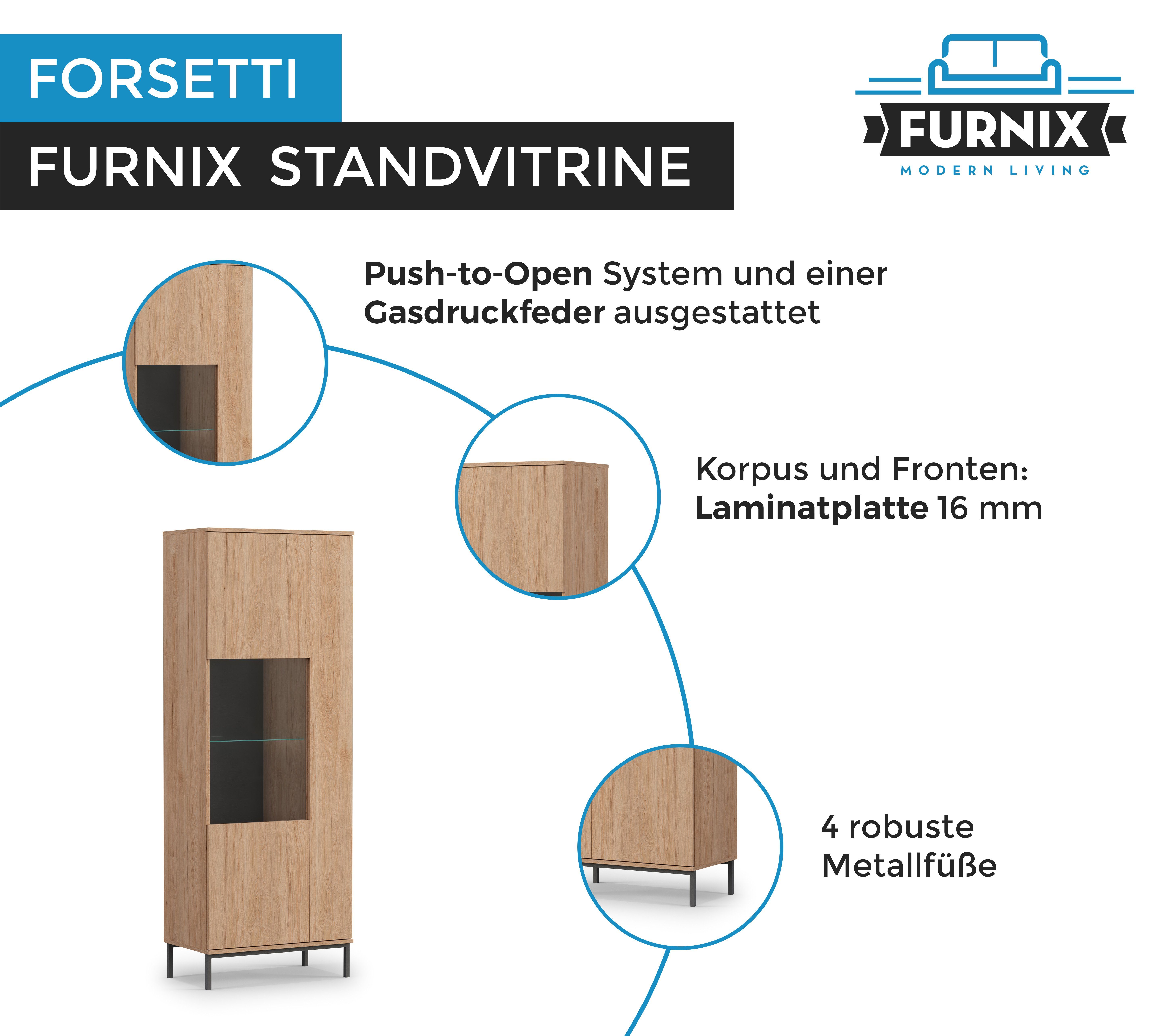 Furnix Standvitrine Glasvitrine FORSETTI WIT70 x mit Metallgestell, H190 cm T41 Funktion, Push-to-Open x Glastür B70 Hickory Hochvitrine mit