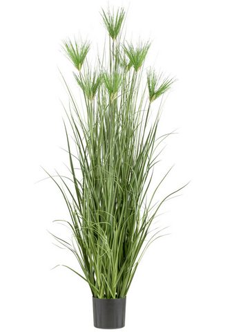  Kunstgras Zyperngras Creativ green auk...