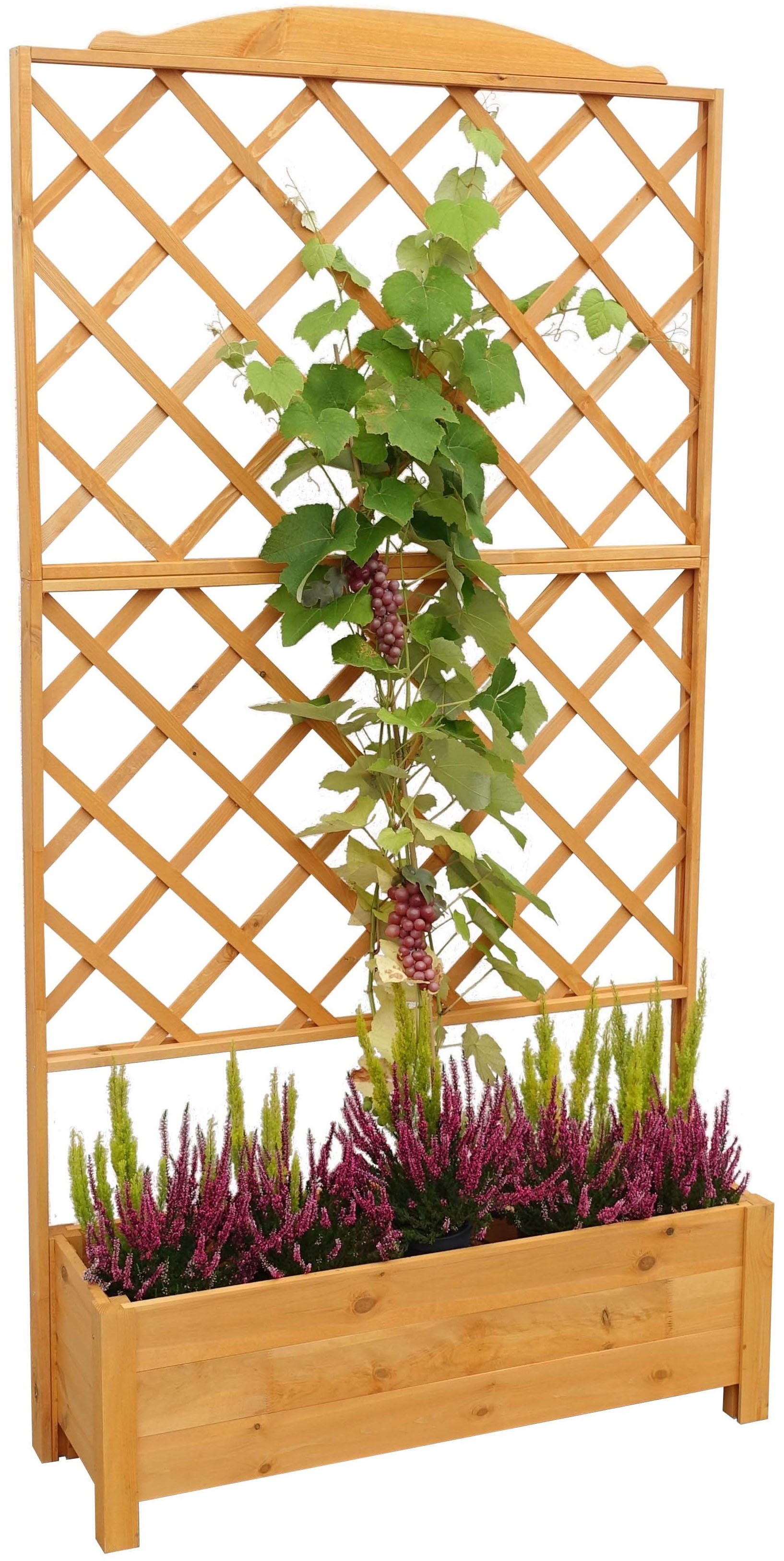 promadino Spalier, mit Pflanzkasten, BxTxH: 110x32x210 cm