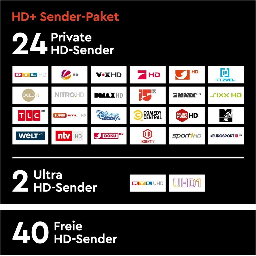 HD Plus Modul & Karte (6 Monate) - Sender-Paket - silber HD+-Modul
