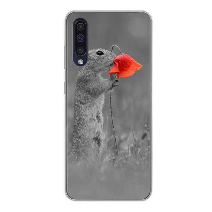 MuchoWow Handyhülle Eichhörnchen schnüffelt an roter Blume schwarz-weiß von Fotograf Dick Handyhülle Samsung Galaxy A50 Smartphone-Bumper Print Handy