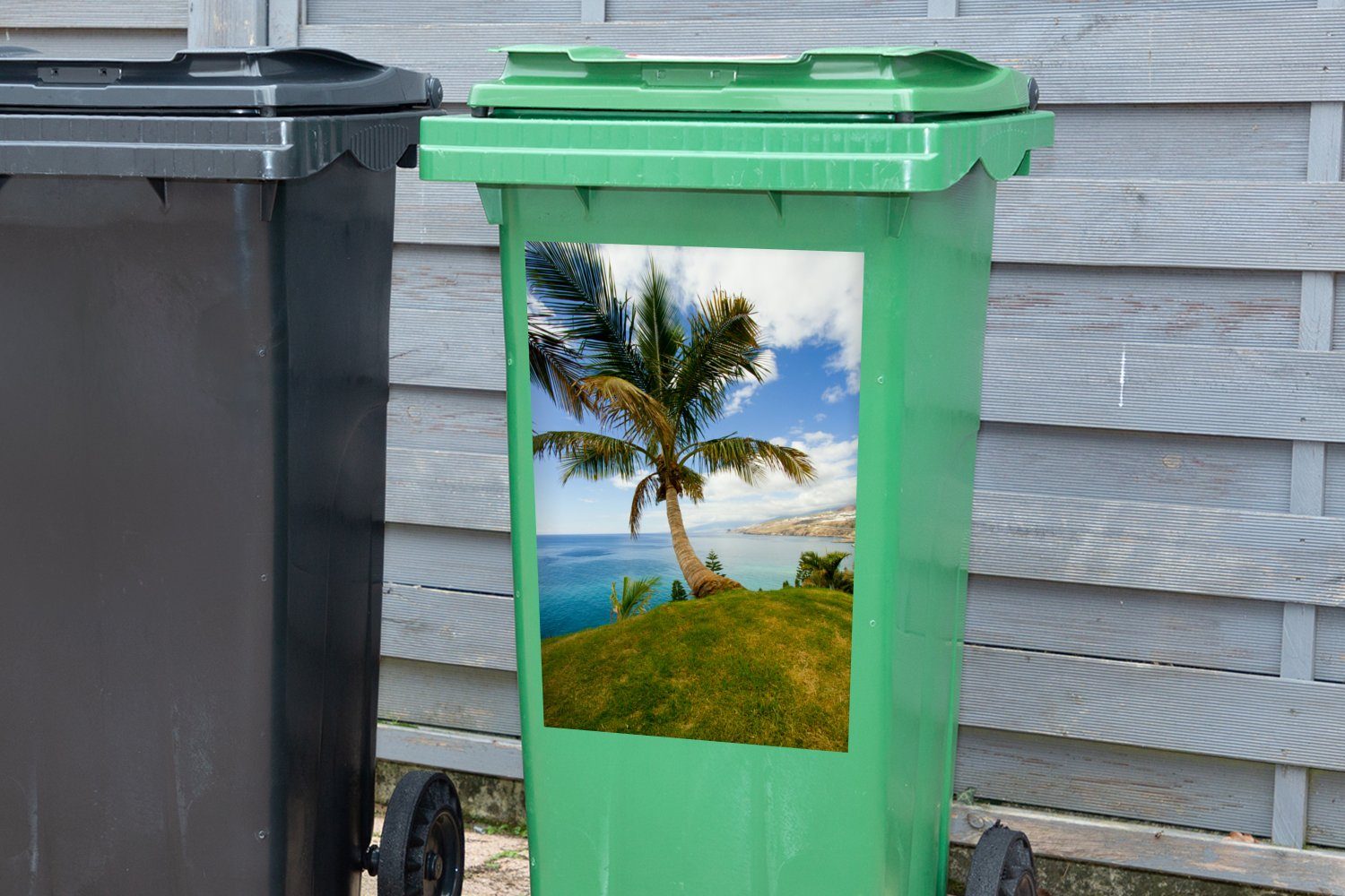 Küste Eine St), an Container, Mülltonne, Palme Teneriffa MuchoWow Wandsticker der (1 Sticker, Mülleimer-aufkleber, von Abfalbehälter