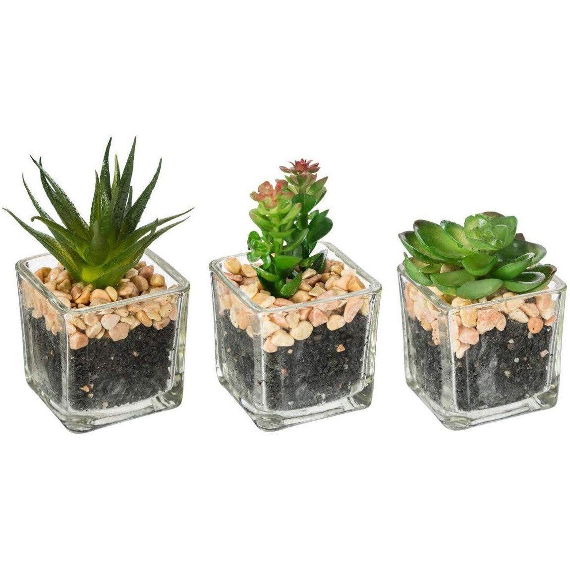 Kunstpflanze Zimmerpflanze, Atmosphera Créateur d'intérieur, Höhe 7.5 cm. € 21,99