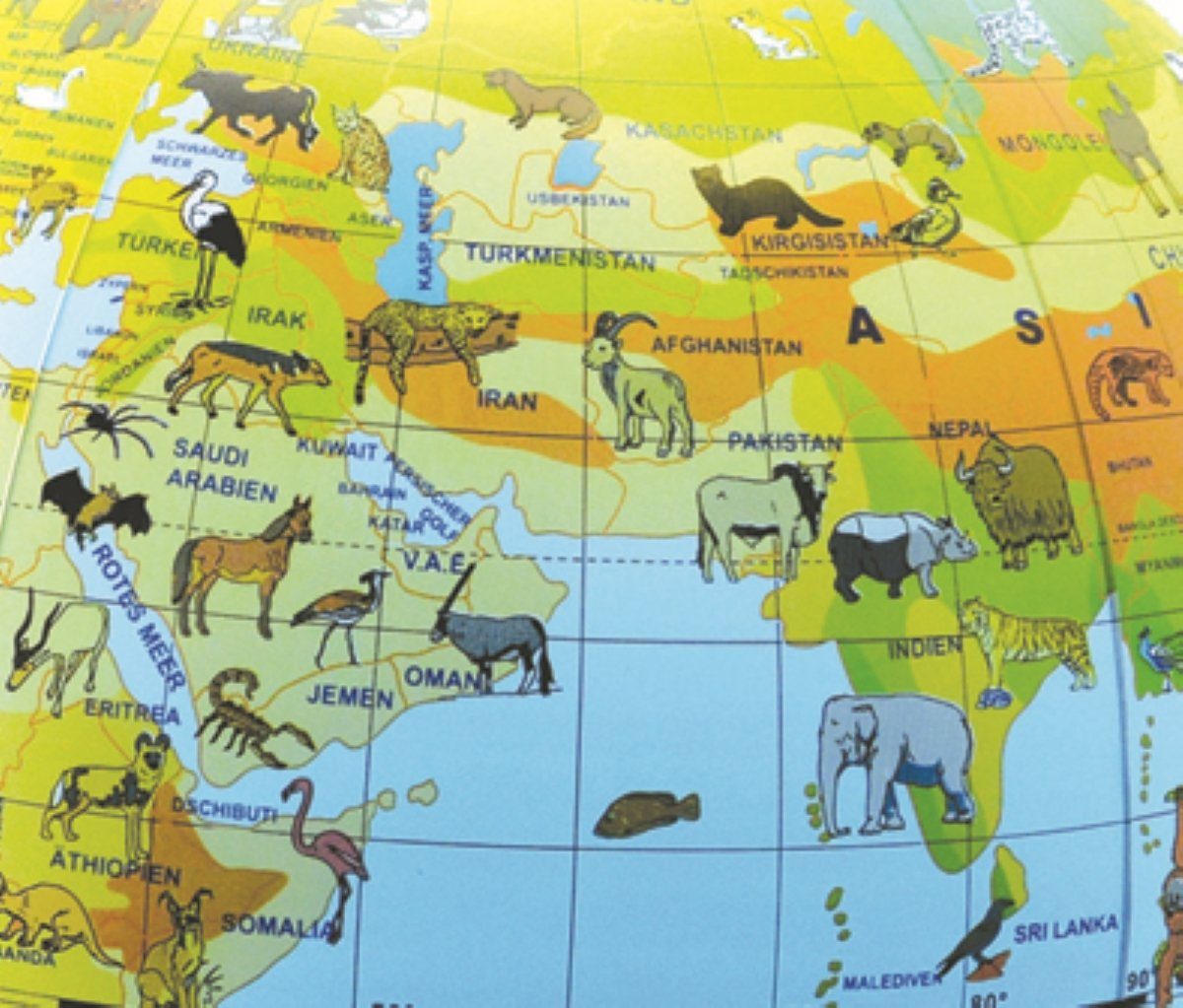 SportFit Globus Riesenglobus