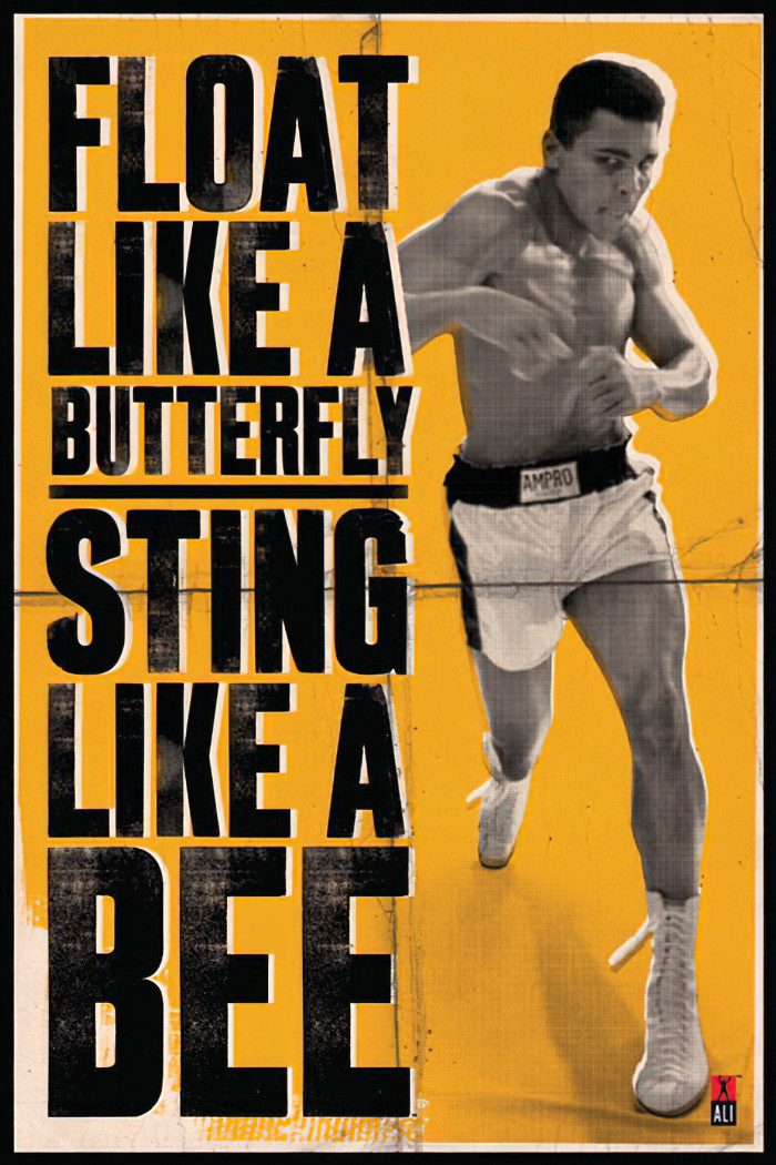 PYRAMID Poster Muhammad Ali Float and Sting Poster 61 x 91,5 cm
