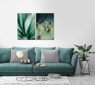 Sinus Art Leinwandbild 2 Bilder je 60x90cm Pflanzen Regentropfen Kaktus Grün Frisch Beruhigend Makrofotografie