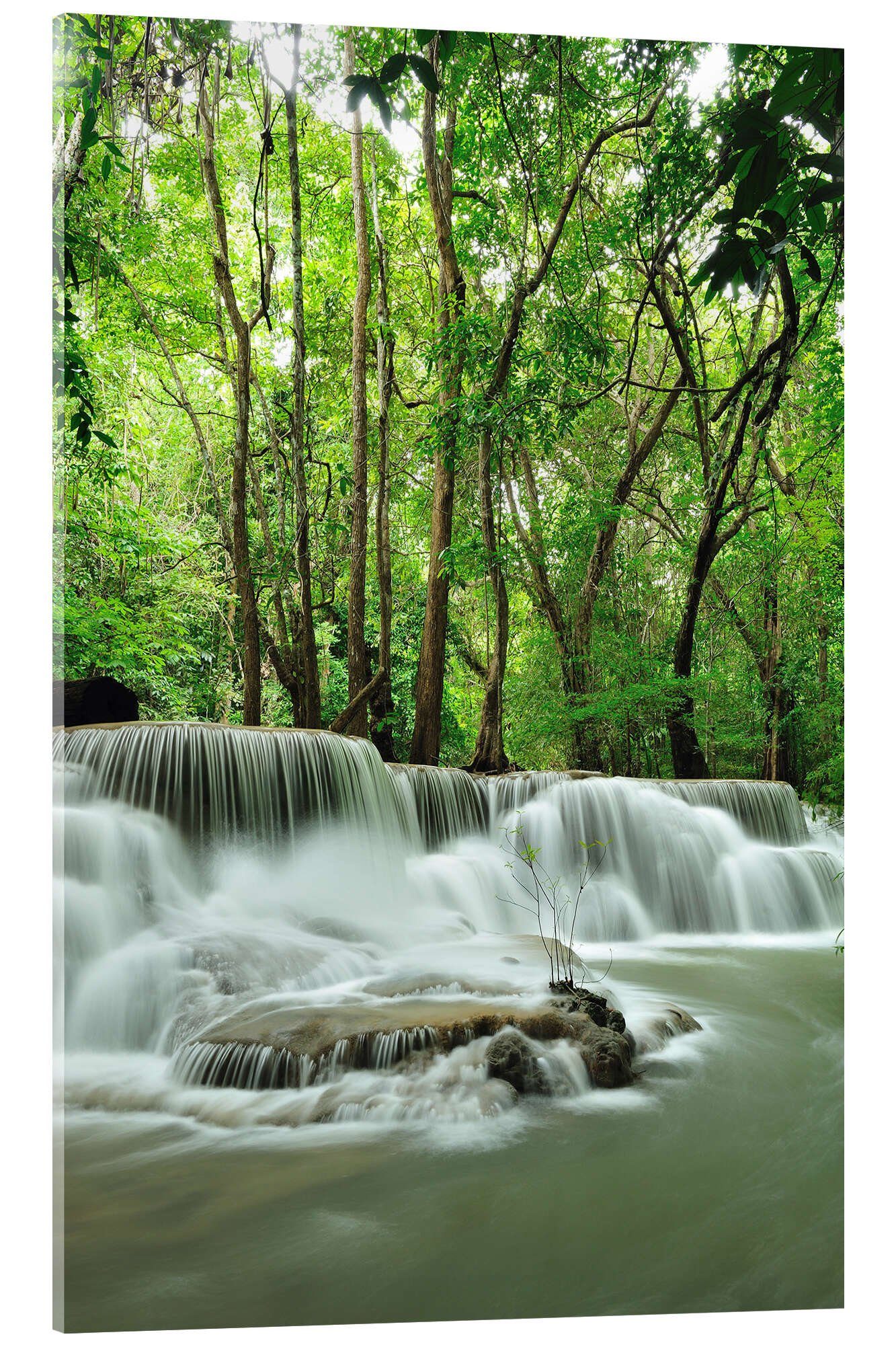 Posterlounge Wandbild Wasserfall im Wald von Thailand, Editors Choice, erhältlich als Poster, Leinwandbild, Wandsticker oder Acrylglasbild