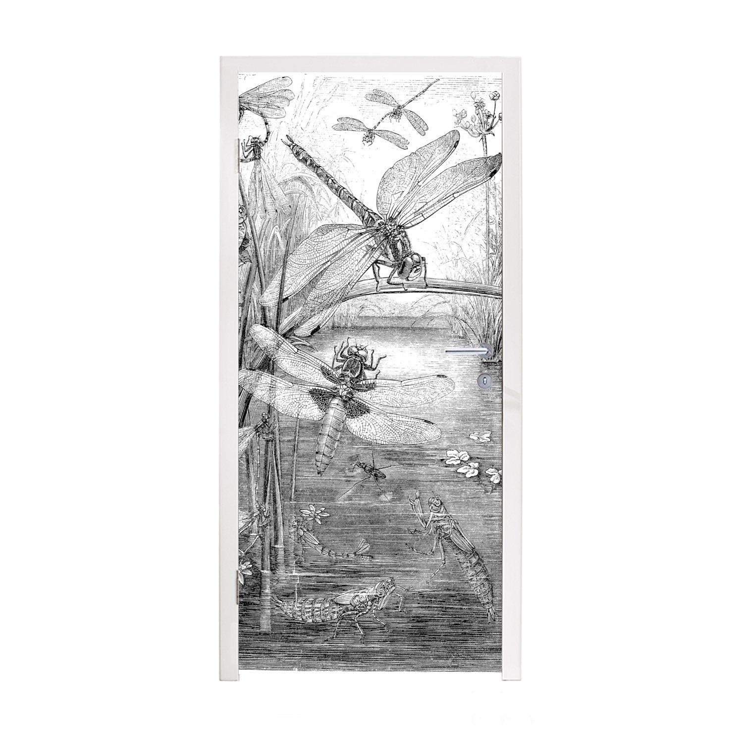 Türaufkleber, bedruckt, Matt, schwarz-weiße Türtapete für Illustration einiger MuchoWow St), cm Eine Tür, (1 75x205 Fototapete Libellen,