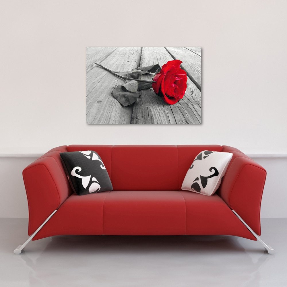 Poster Blumen - Poster - Rote Rose Colourlight