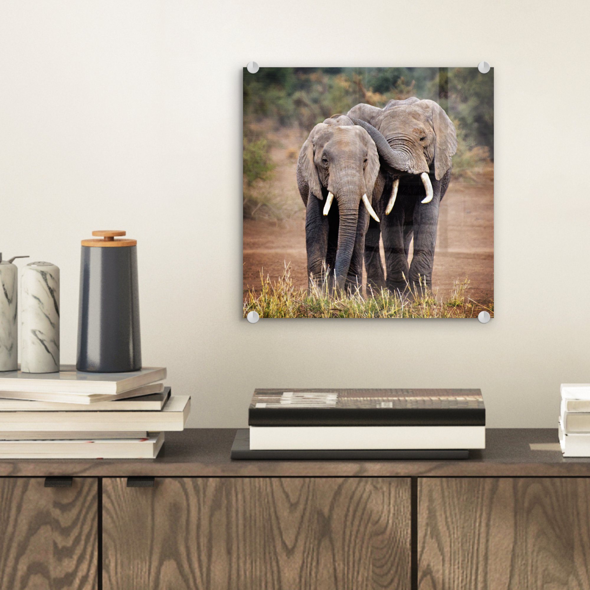 Wandbild Tiere Glasbilder Natur, Foto St), Bilder - - Elefant Glas - auf (1 - Acrylglasbild - auf Bäume - Wanddekoration MuchoWow Glas