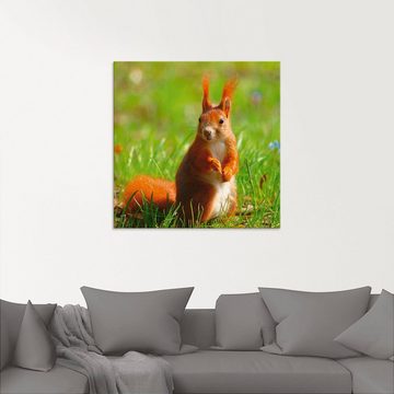 Artland Glasbild Eichhörnchen Kontakt, Wildtiere (1 St), in verschiedenen Größen