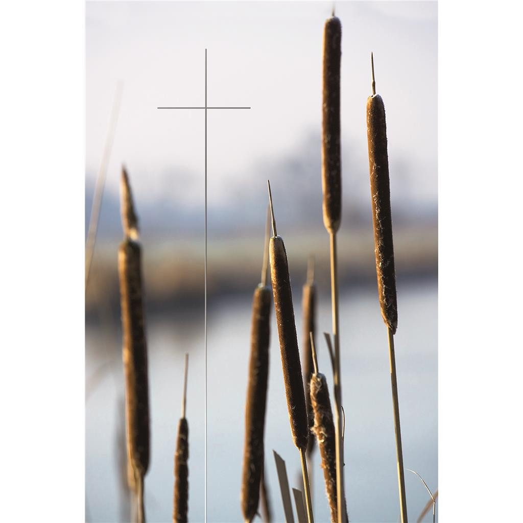 Skorpion Grußkarten Trauer  Beileid  Kondolenz - Trauerkarte im Format 11,5 x 17