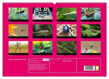 CALVENDO Wandkalender Makro-Kalender 2023 (Premium, hochwertiger DIN A2 Wandkalender 2023, Kunstdruck in Hochglanz)