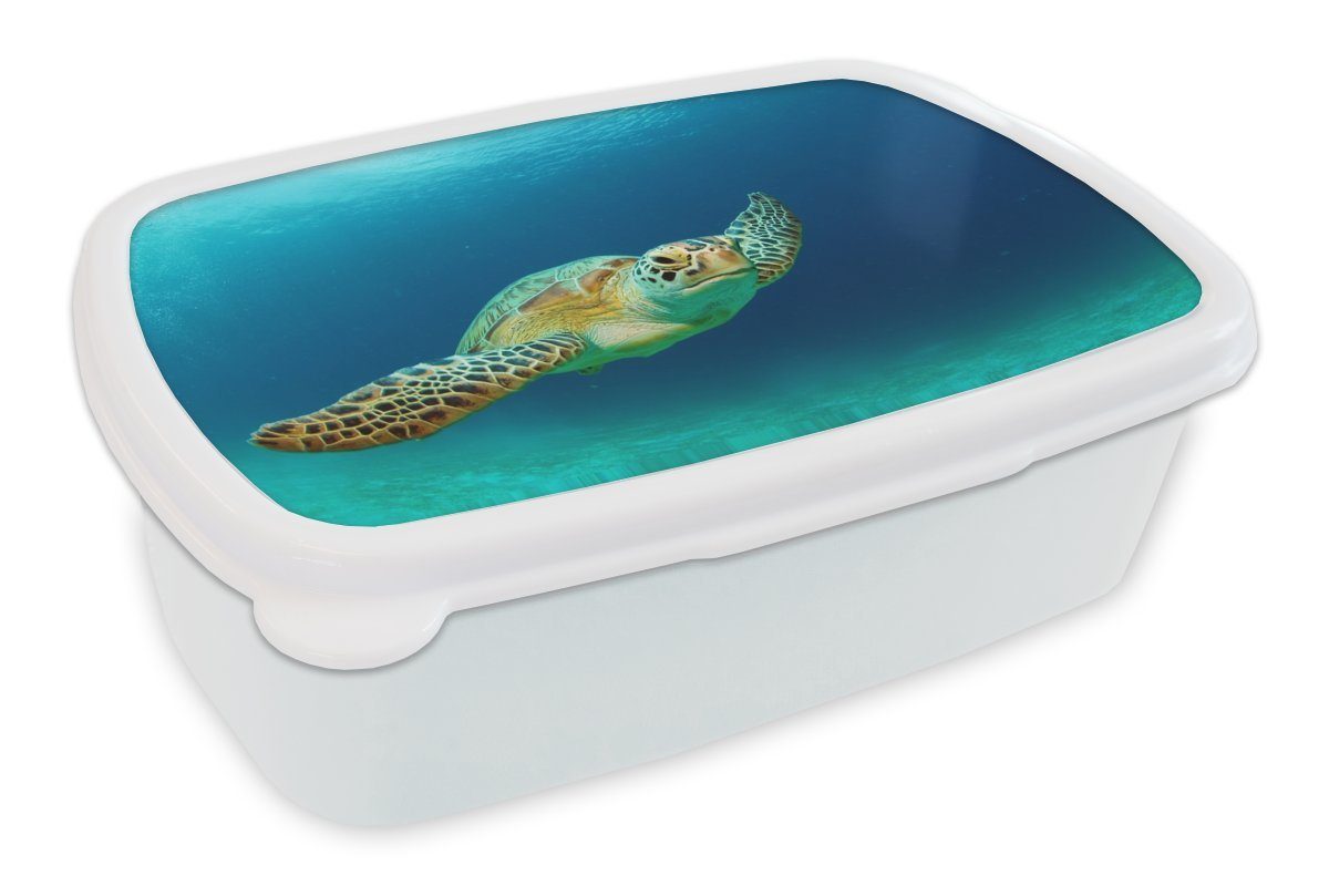 MuchoWow Lunchbox Nahaufnahme einer Grünen Meeresschildkröte, Kunststoff, (2-tlg), Brotbox für Kinder und Erwachsene, Brotdose, für Jungs und Mädchen weiß