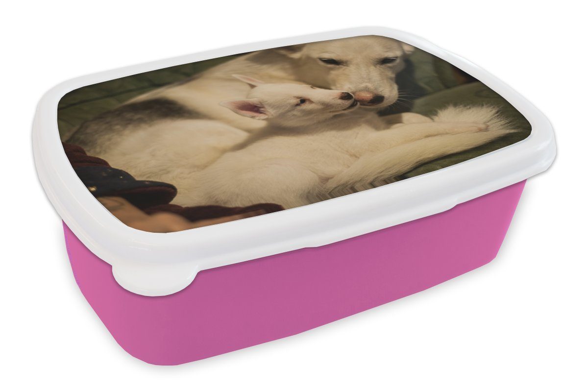 MuchoWow Lunchbox Mutter mit Welpe, Kunststoff, (2-tlg), Brotbox für Erwachsene, Brotdose Kinder, Snackbox, Mädchen, Kunststoff rosa | Lunchboxen