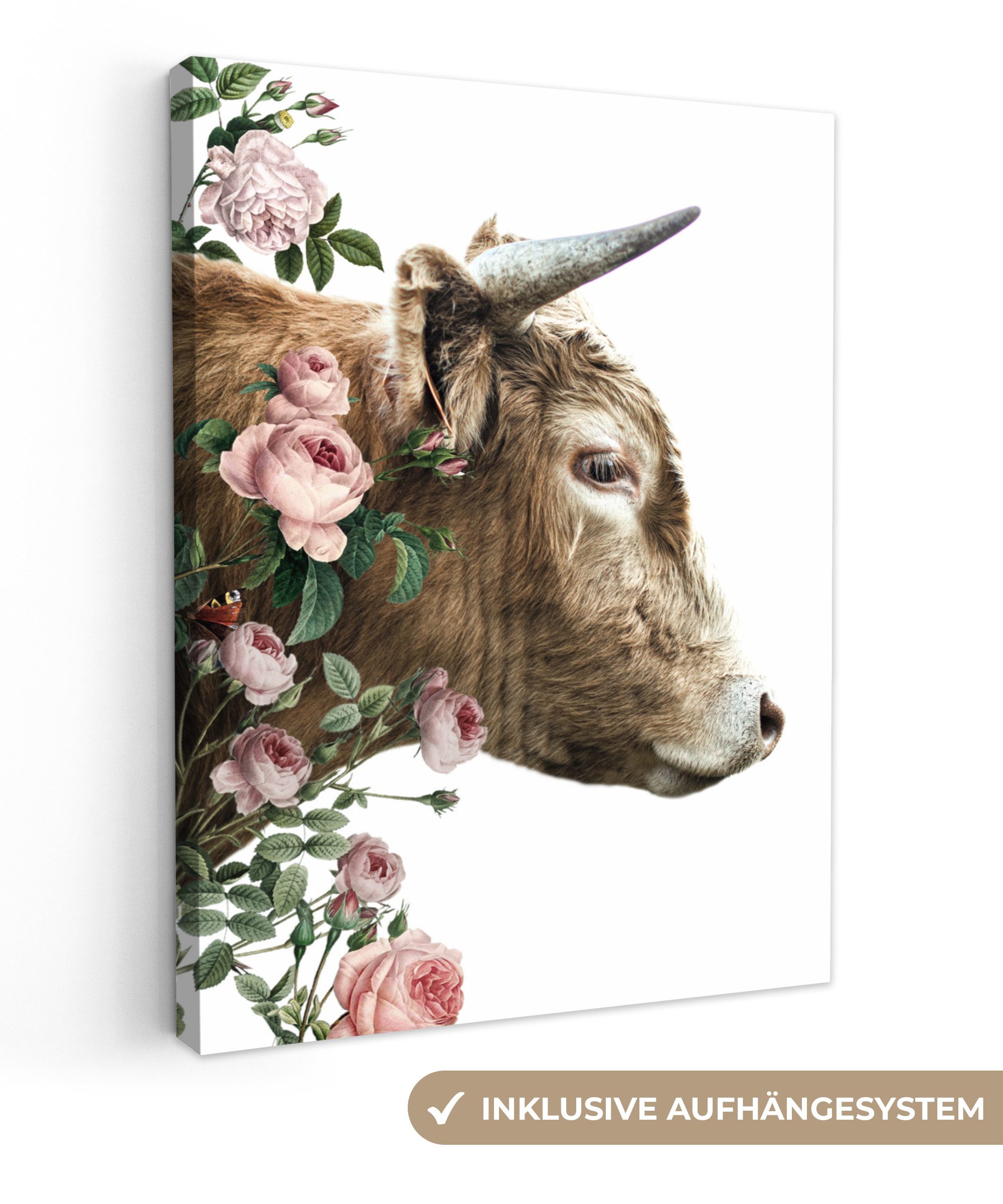 OneMillionCanvasses® Leinwandbild Schottischer Highlander - Kuh günstig online kaufen