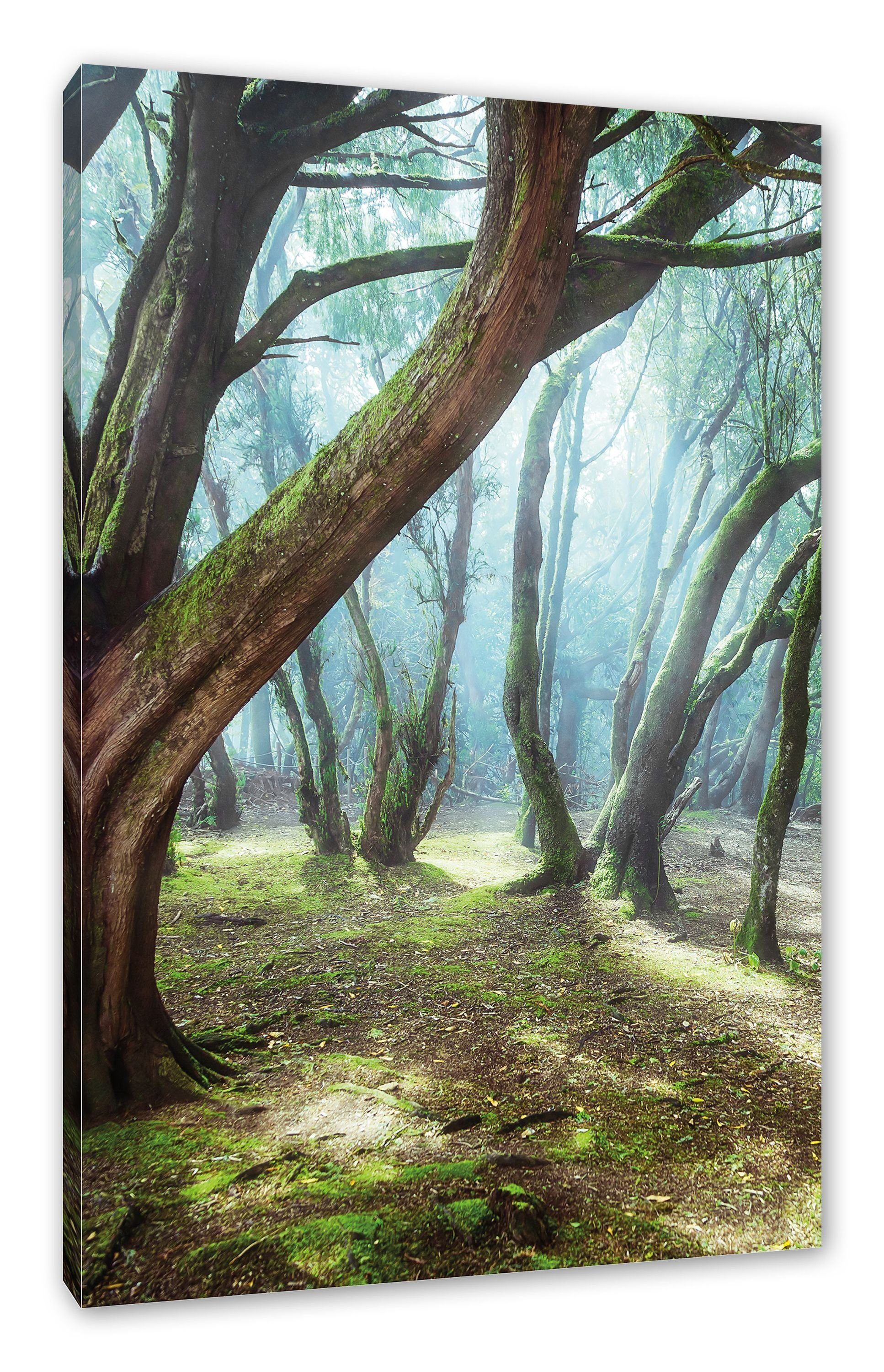 Pixxprint Leinwandbild Wald, Wald (1 St), Leinwandbild fertig bespannt, inkl. Zackenaufhänger