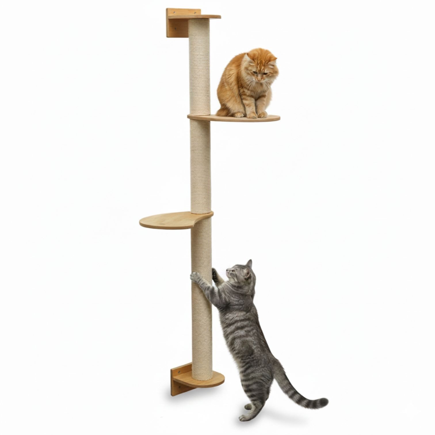 eyepower Kratzbaum zur Wandmontage-130 cm Wandkratzbaum für Katzen mit 2 Bambus Plateaus, Sistammstamm Wand - Katzenkratzbaum platzsparend - Kletterwand Katze