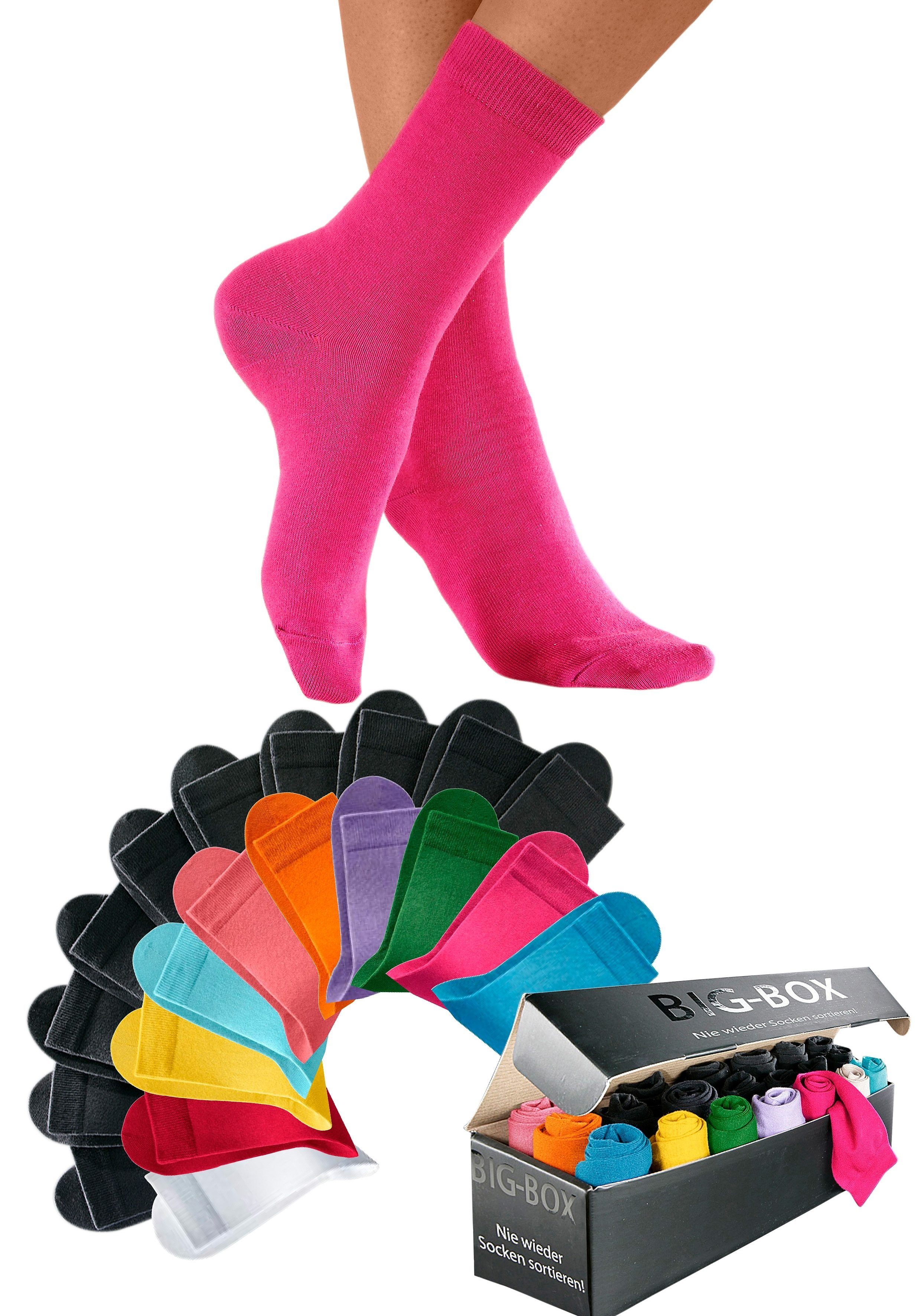 Go in Basicsocken (Box, 20-Paar) in der großen Big-Box