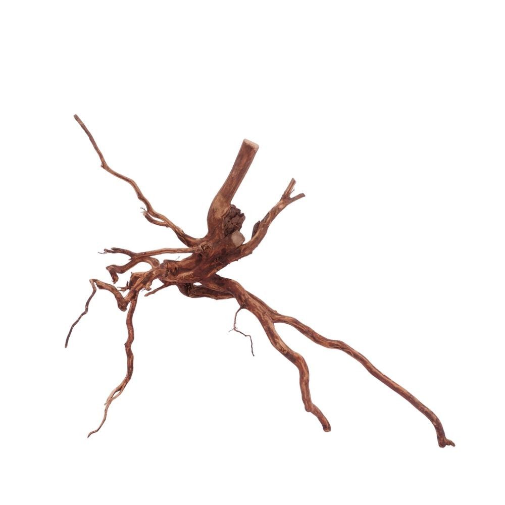 Aquaone Aquarium L Red Spider Wurzel Nr.4610 Fingerwurzel Echtholz Deko Aquascaping