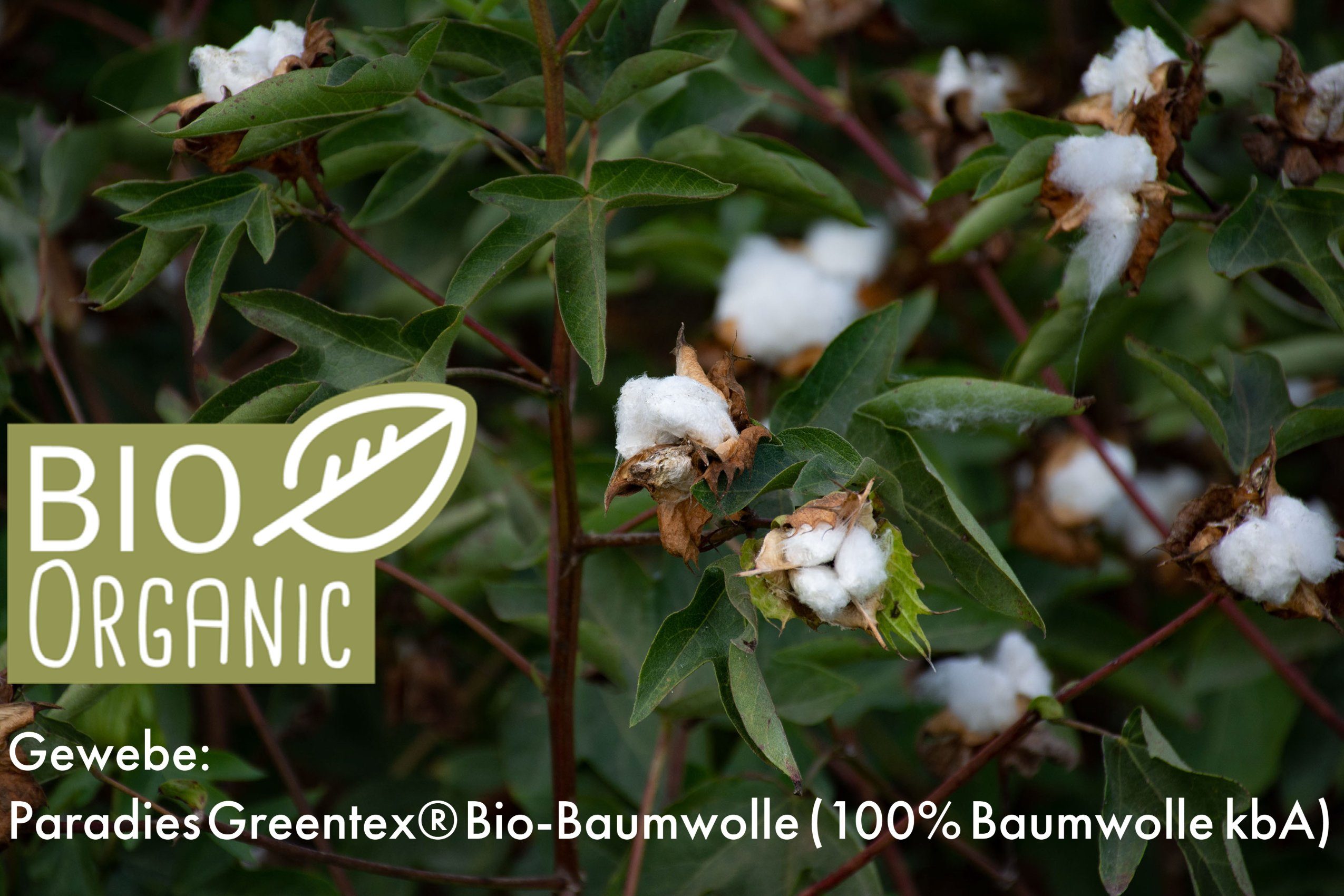 Bio-Baumwolle + Füllung: hohes kuschelig (kbA), Volumen Bezug: Bio, Paradies, Kopfkissen, 100% Kinderbettdecke 100% Polyester, Anela besonders und