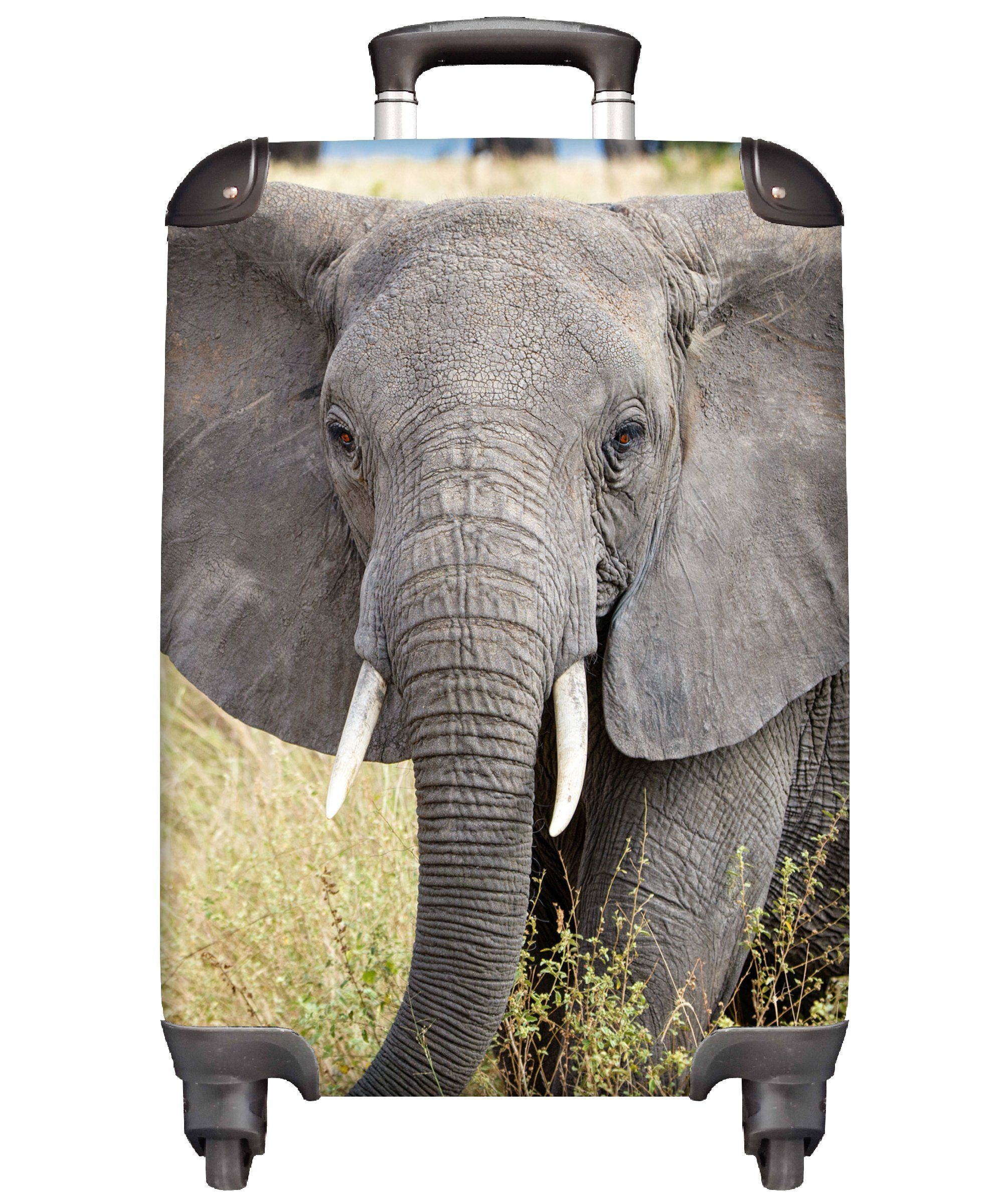 MuchoWow Handgepäckkoffer Elefant Trolley, Tiere - - Reisekoffer rollen, Handgepäck - Natur, Rollen, Gras für Reisetasche 4 Ferien, mit
