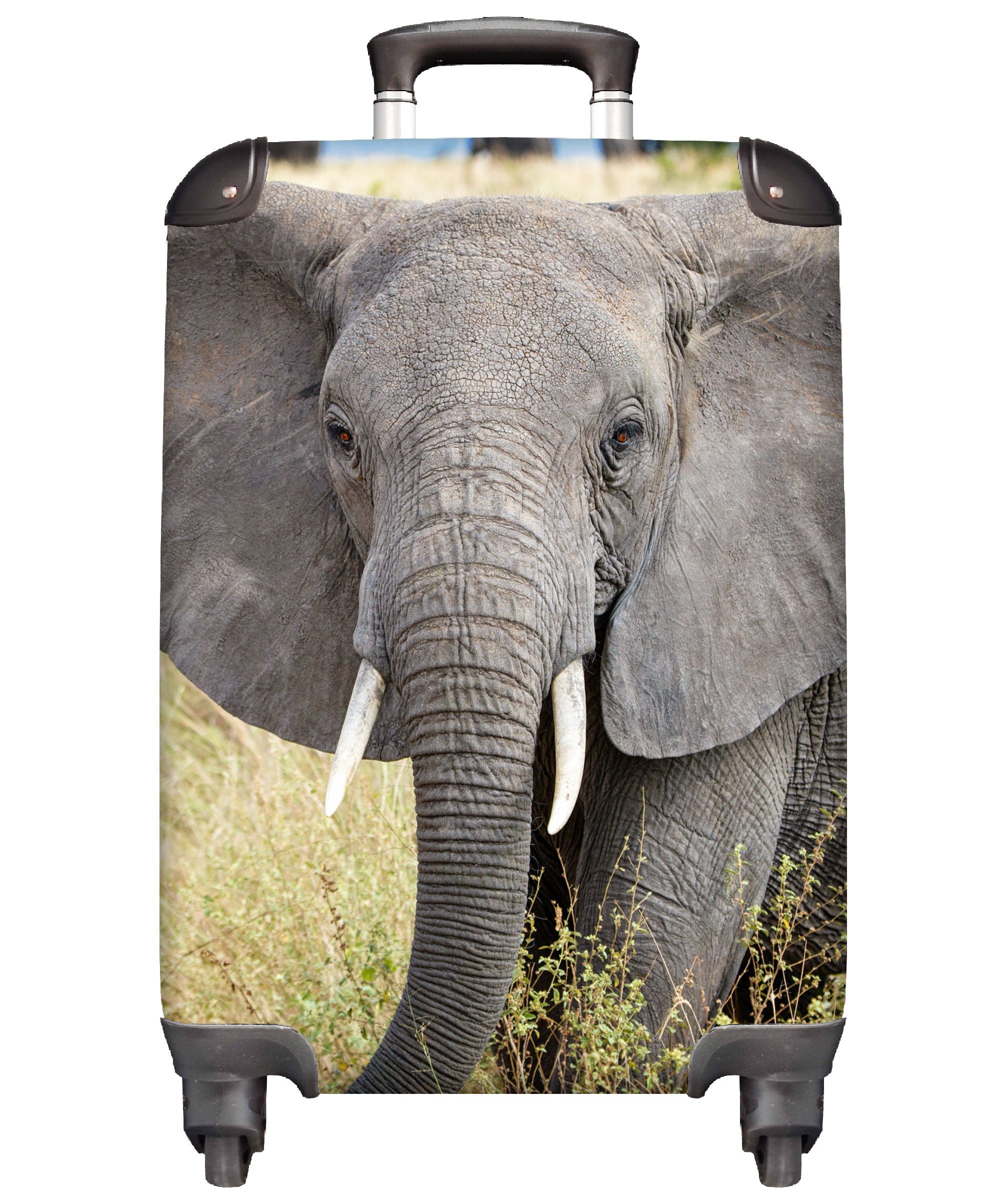 MuchoWow Handgepäckkoffer Elefant - Tiere - Gras - Natur, 4 Rollen, Reisetasche mit rollen, Handgepäck für Ferien, Trolley, Reisekoffer