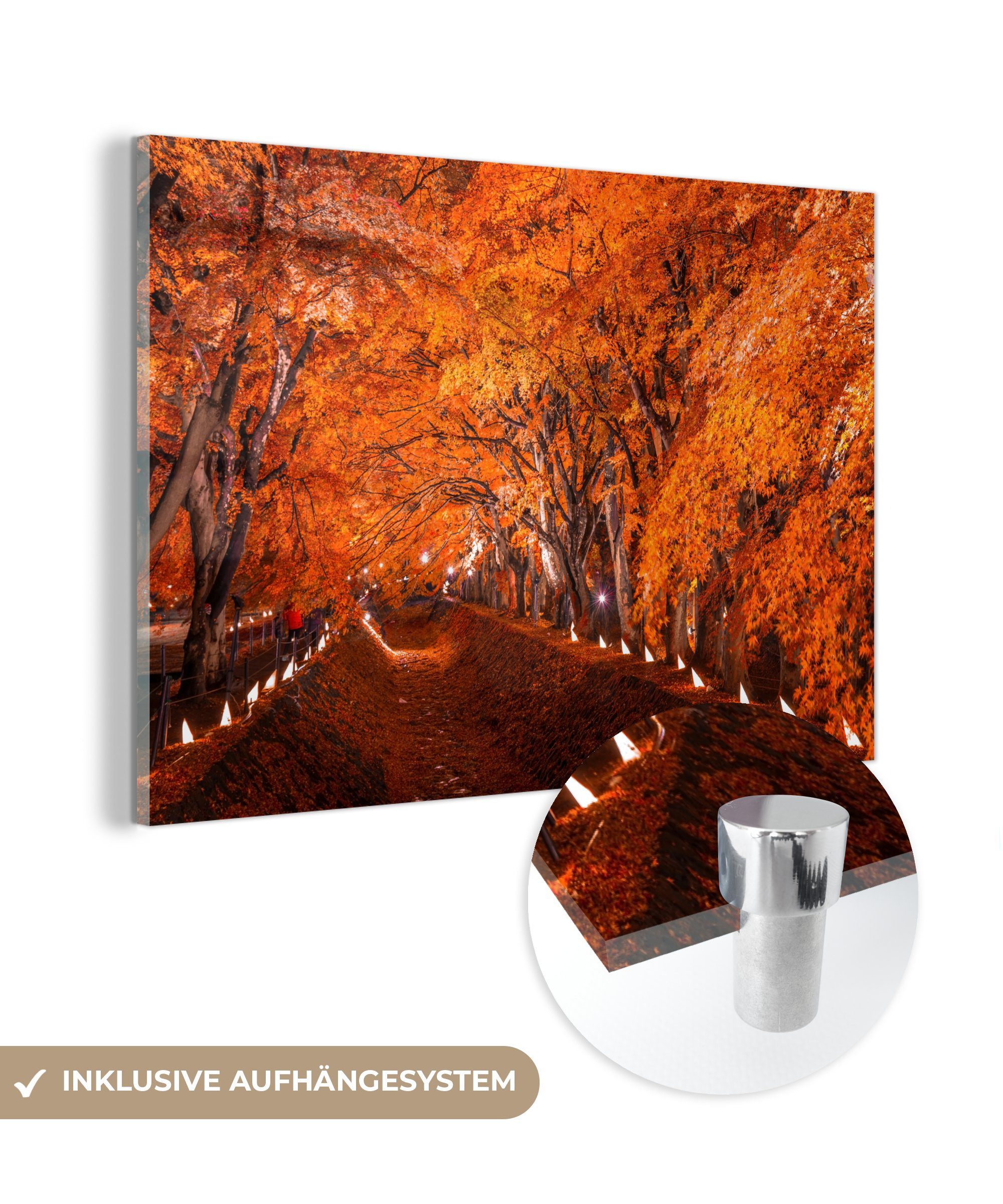 MuchoWow Acrylglasbild Herbstlicher Pfad, (1 St), Acrylglasbilder Wohnzimmer & Schlafzimmer