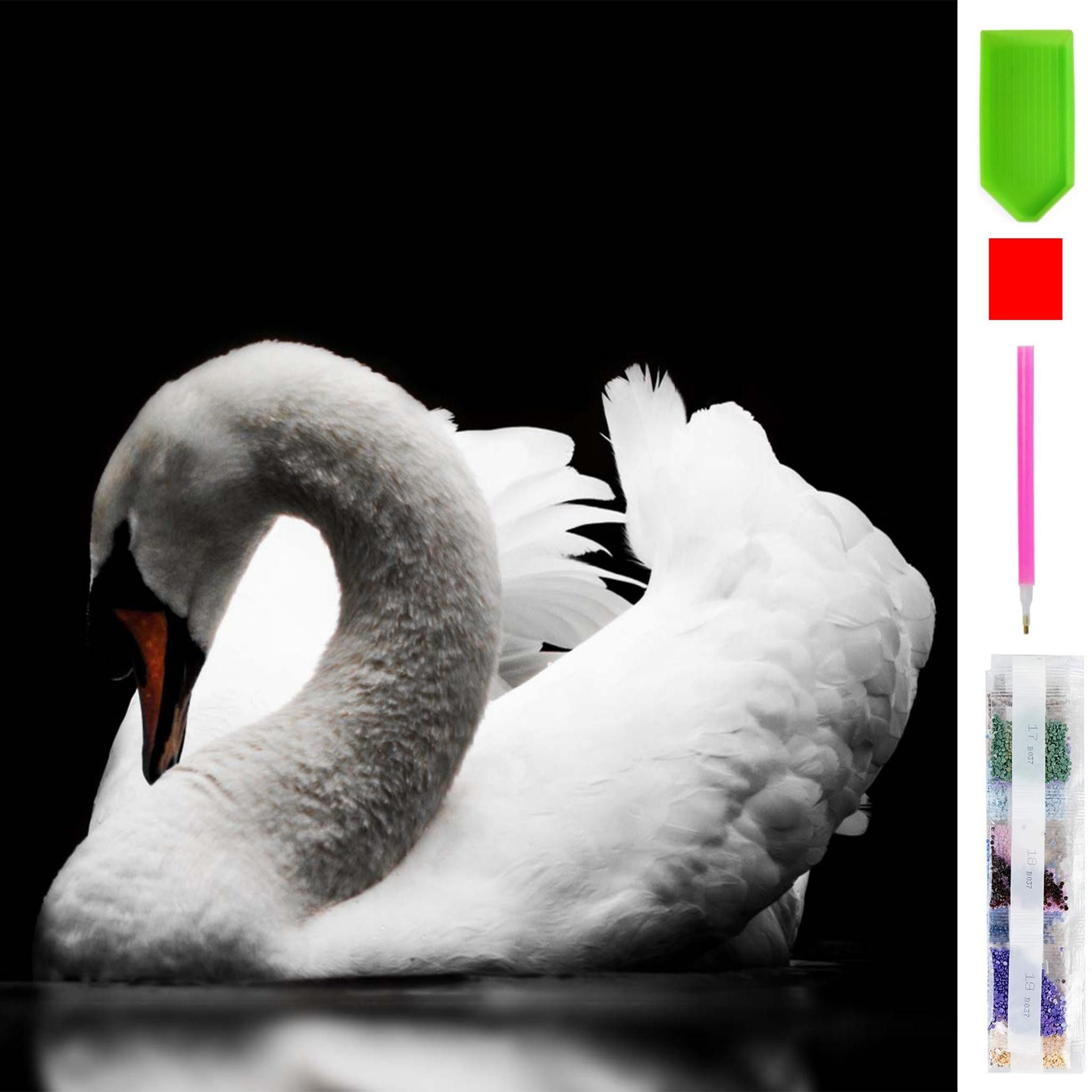 Malen nach Zahlen 5d Diamond Painting DIY Schwan Malen nach Zahlen 20x20cm