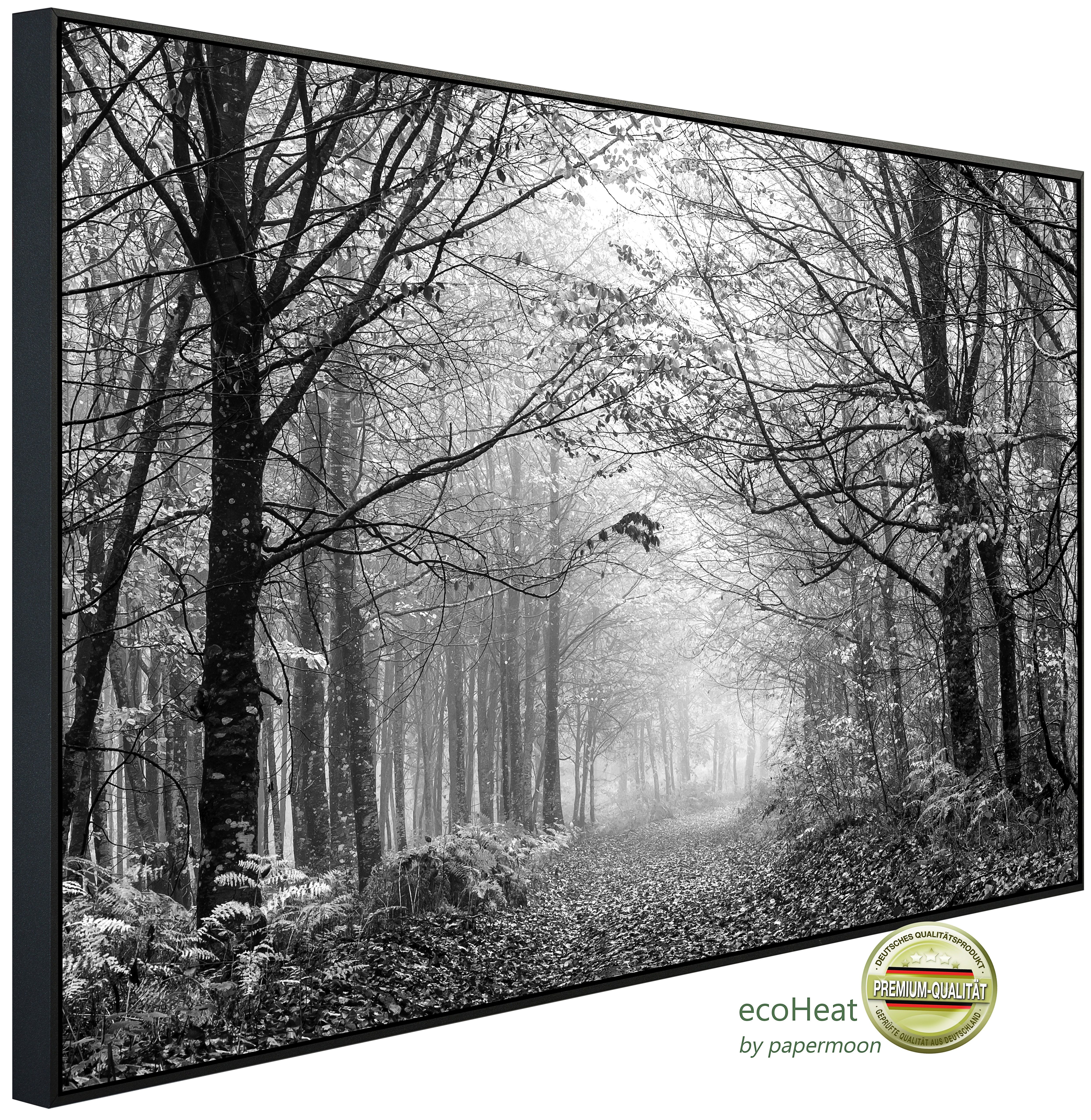 Infrarotheizung INFRAROT-BILD-HEIZUNG, Wald Schwarz & Weiß