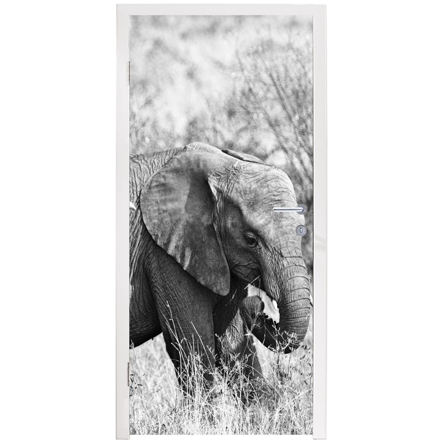 Elefant Tür, Schwarz - St), (1 für bedruckt, Türtapete cm - Tiere weiß, und MuchoWow 75x205 Gras Matt, Fototapete Türaufkleber, -