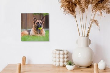OneMillionCanvasses® Leinwandbild Deutscher Schäferhund mit einem Tennisball im Maul, (1 St), Leinwand Bilder für Wohnzimmer Schlafzimmer